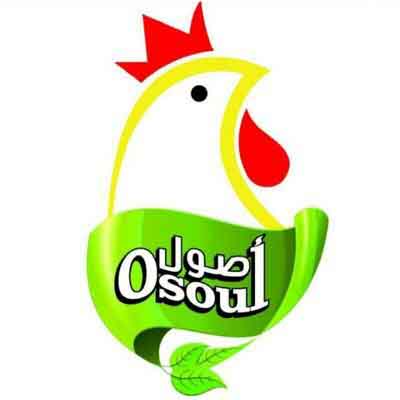 اصول مبرد 1200جرام